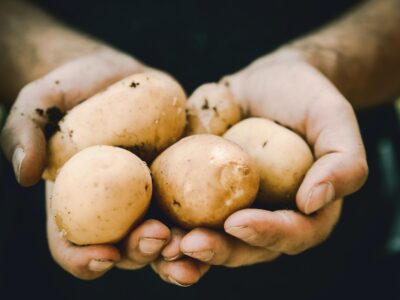 wie lange sind kartoffeln haltbar